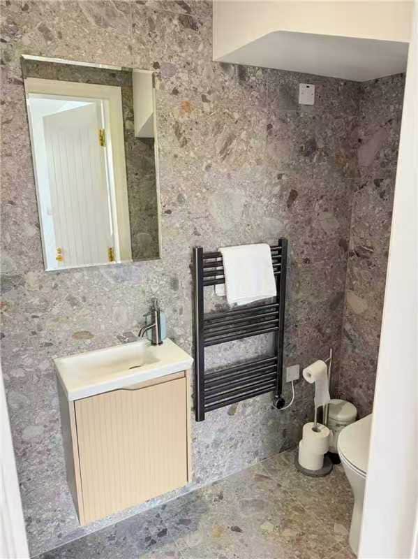 Separate modern WC and wash basin